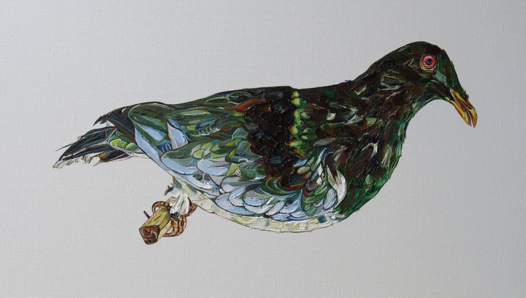 Emma Lindsay 2014, Norfolk Island pigeon (extinct